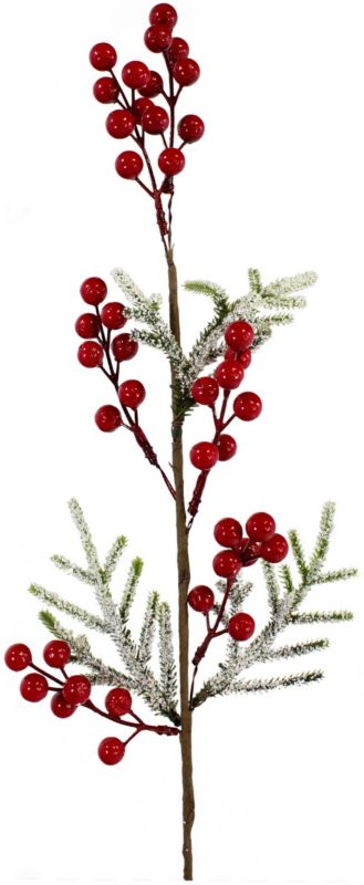 Gałązka jarzębiny