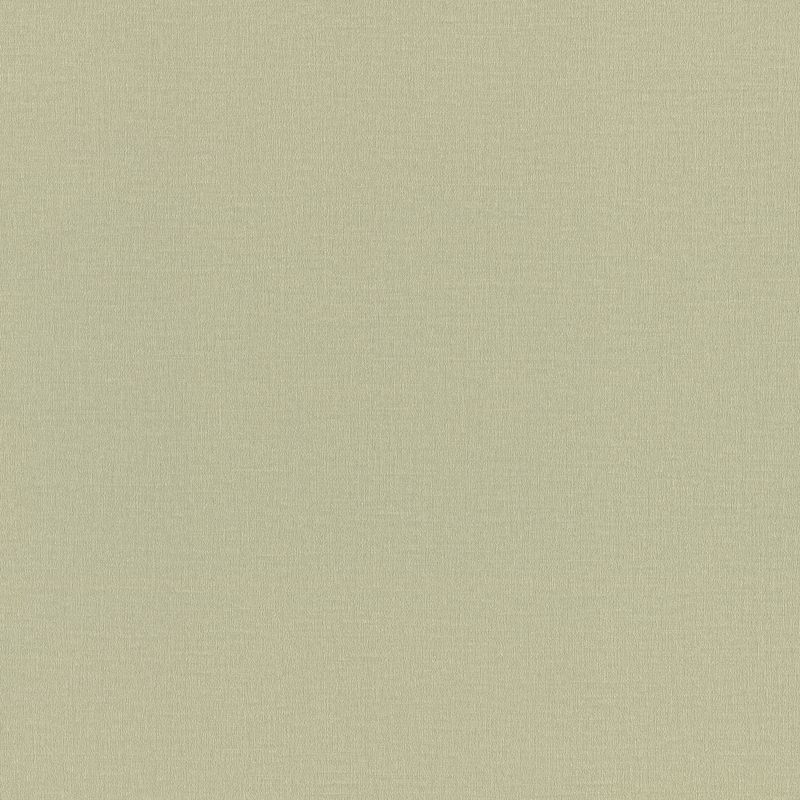 Tapeta winylowa na flizelinie Tło zielony