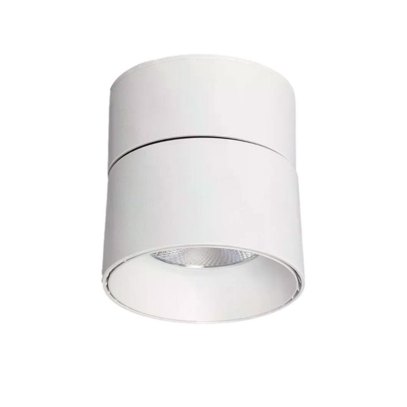 Reflektor sufitowy Abruzzo Romeo biały LED 30W 2300K-3200K 2400lm IP20 wym: 15 x 11 x 11 cm metal - 1 szt.