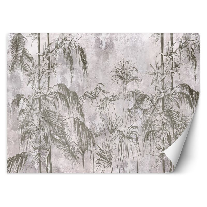 Fototapeta Feeby Dżungla Beton Czarny Biały Rośliny 250x175 1 szt