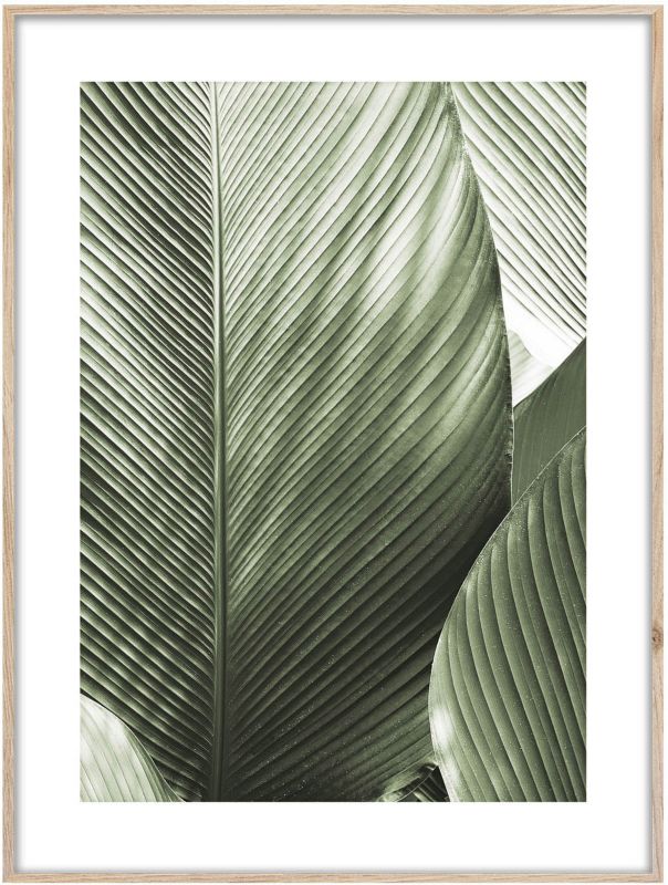 Obraz Artbox Macro 50 x 70 cm