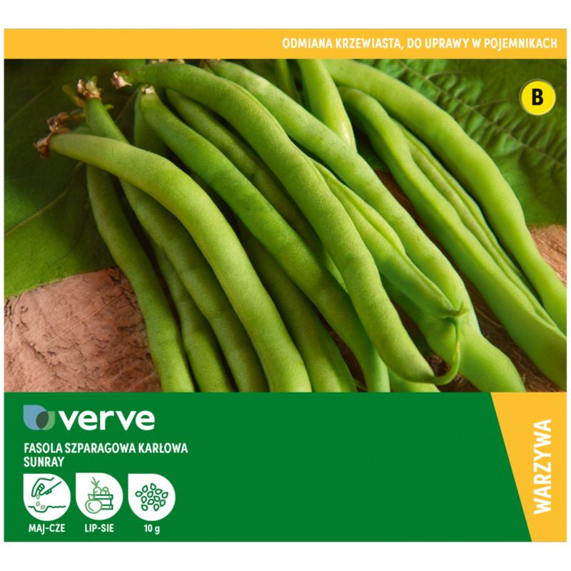 Nasiona fasolka szparagowa zielona Sunray Dwarf Verve