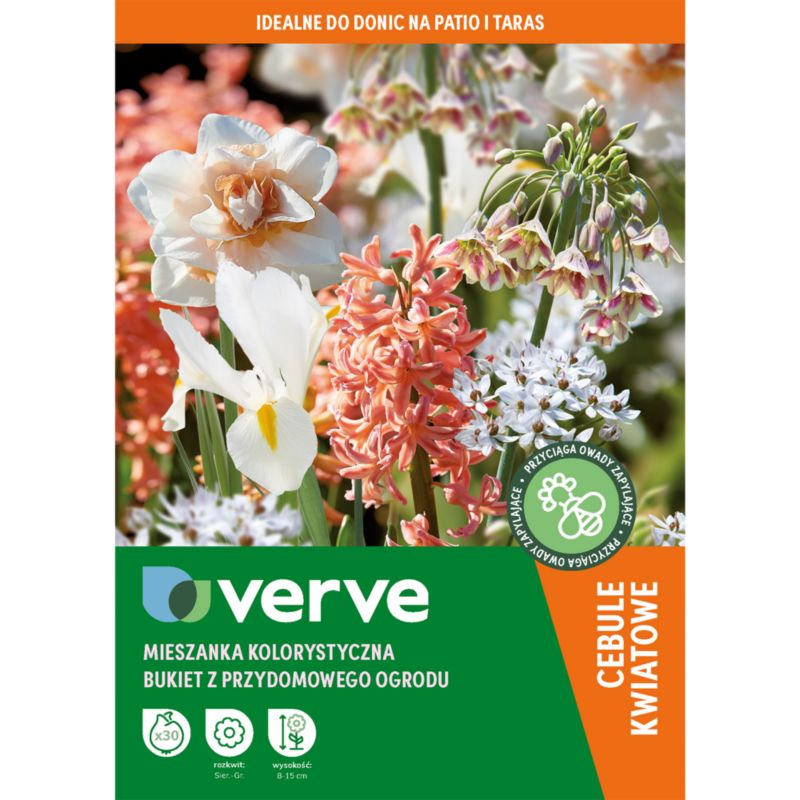 Kolekcja cebulek Verve Backyard Bouquet 30 sztuk
