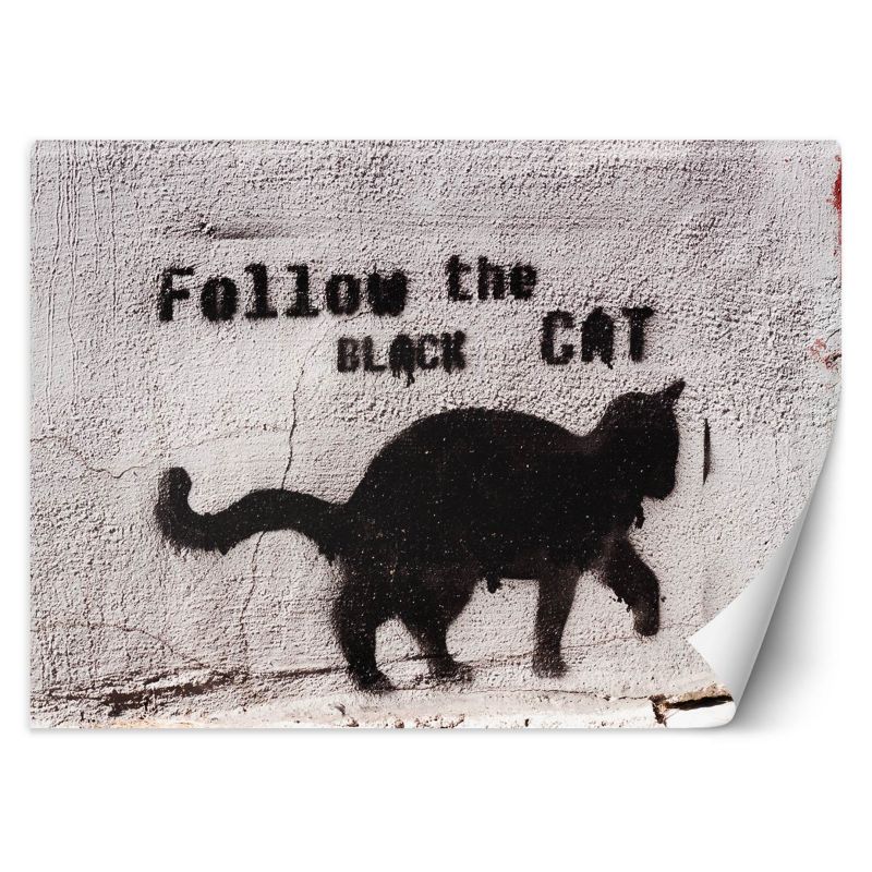 Fototapeta Feeby Czarny kot follow the black cat beton 450x315 1 szt