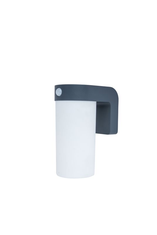 Kinkiet ogrodowy solarny GoodHome Hotham z czujnikiem ruchu 150 lm IP44 grafitowy