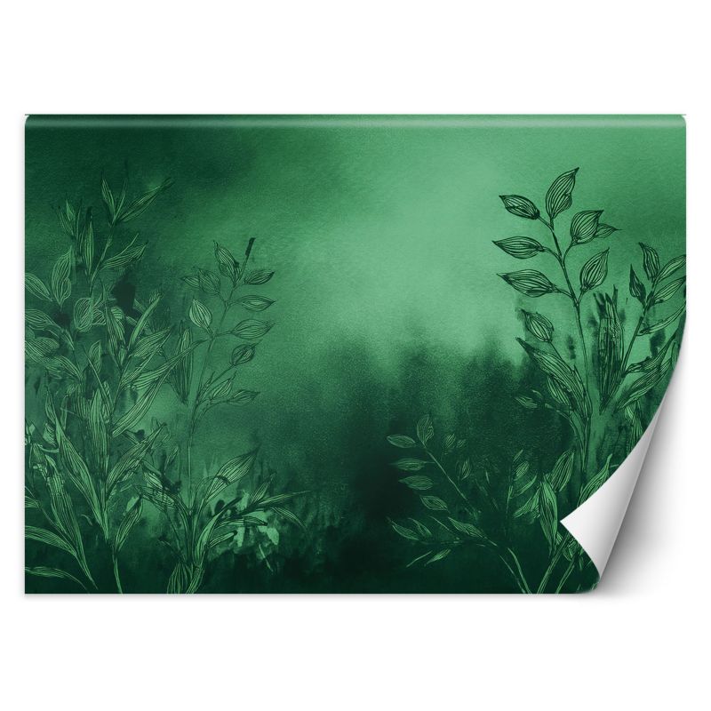 Fototapeta Feeby Łąka Zielony Botanika 350x245 1 szt