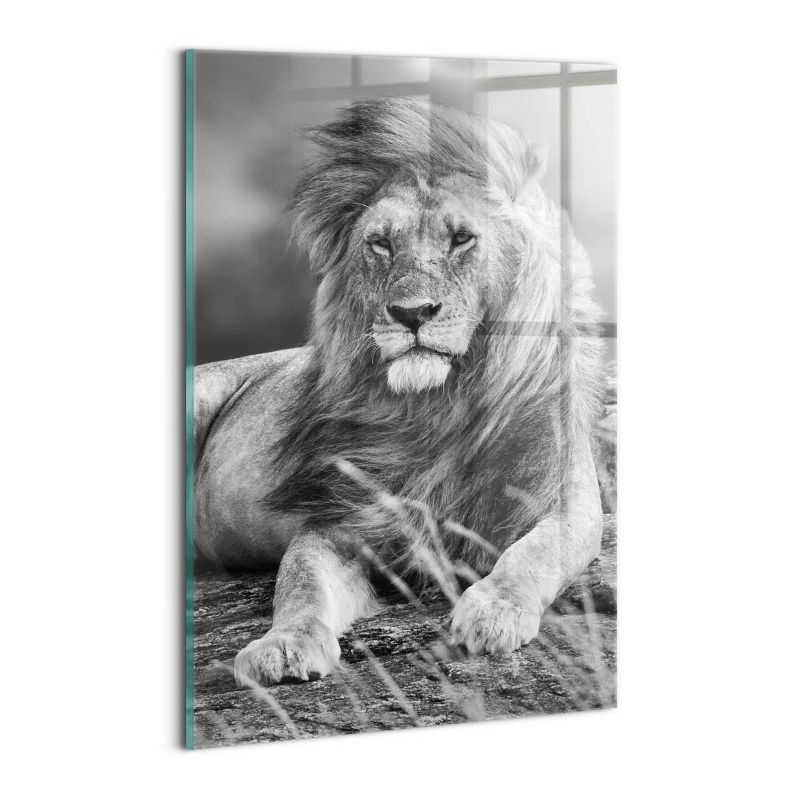 Foto Obraz Ścienny Szklany Wallfluent 30x20 cm Majestatyczne zwierzę lew 1 szt.