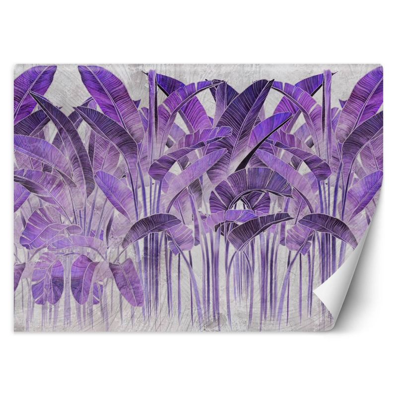 Fototapeta Feeby Fioletowe liście bananowca 368x254 1 szt