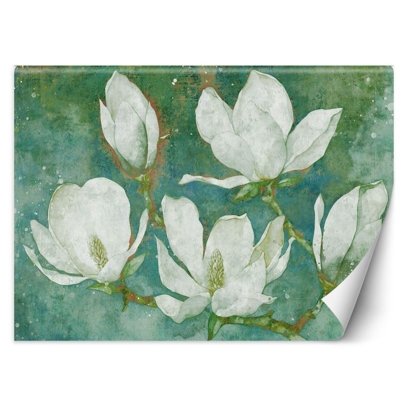 Fototapeta Feeby Kwitnące magnolie abstrakcja 200x140 1 szt