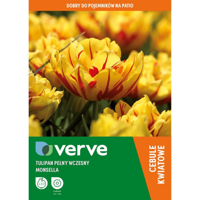 Tulipan Double Yellow Red Monsella 10 szt.