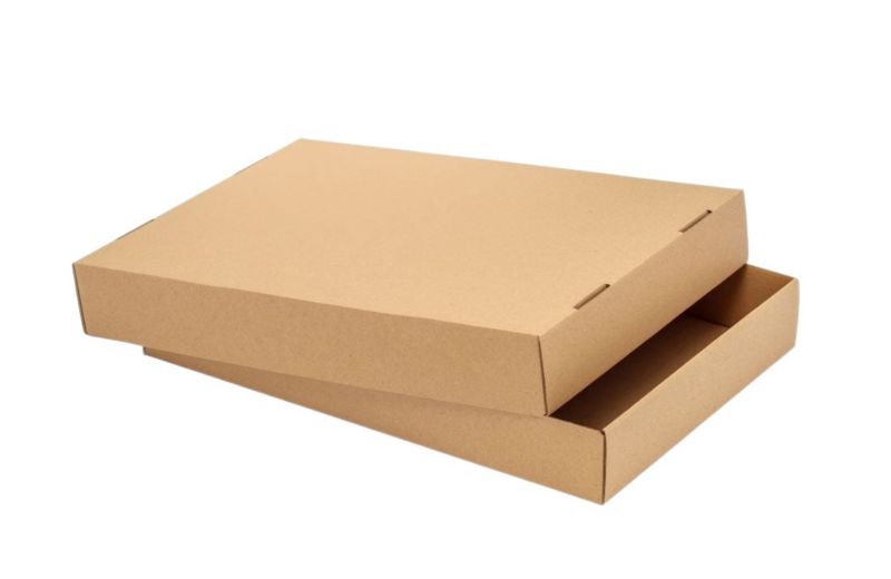 Karton Wykrojnikowy Neopak 350x250x50mm F330 +POKRYWKA A4 . 10 szt.