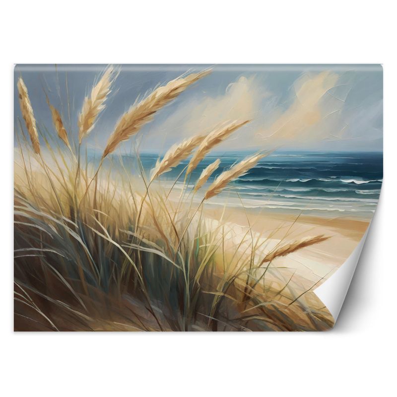 Fototapeta Feeby Morze Plaża Przyroda Krajobraz 350x245 1 szt