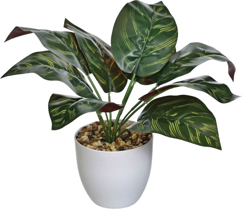 Kwiat sztuczny kaladium Jumi w doniczce ciemnozielony 25 cm