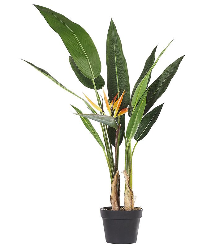 Sztuczna roślina Strelitzia tree 115 cm Zielony 1 szt.