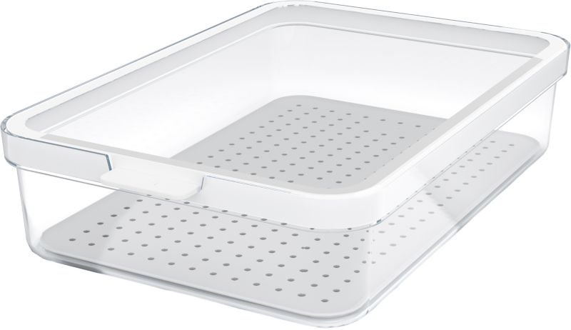 Organizer do lodówki Rotho Cauma 2,6 l