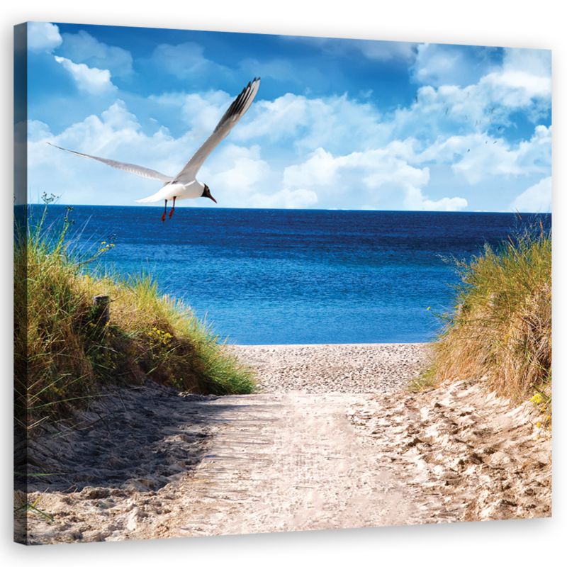 Obraz do salonu sypialni Feeby Ścieżka na plażę Niebieski 30x30cm 1szt