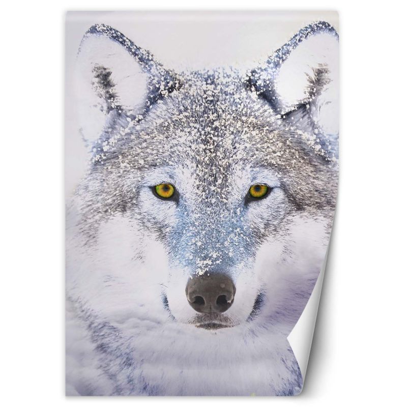 Fototapeta Feeby Portret wilka zimą 200x280 1 szt