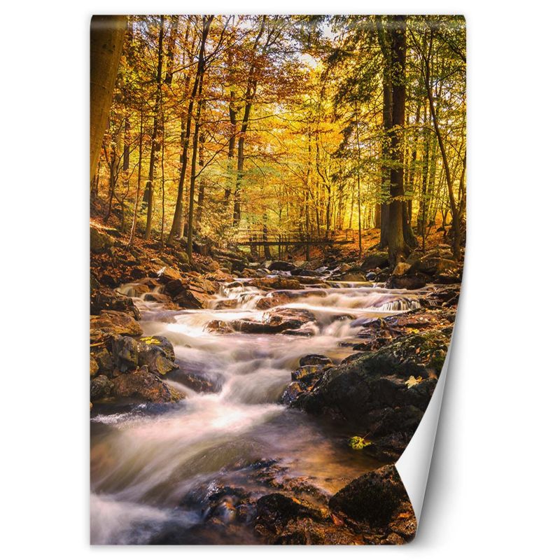 Fototapeta Feeby Jesienny las wodospad 100x140 1 szt