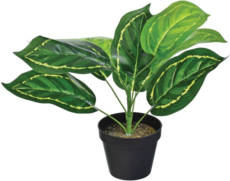 Kwiat sztuczny kalatea Jumi w doniczce 36 cm