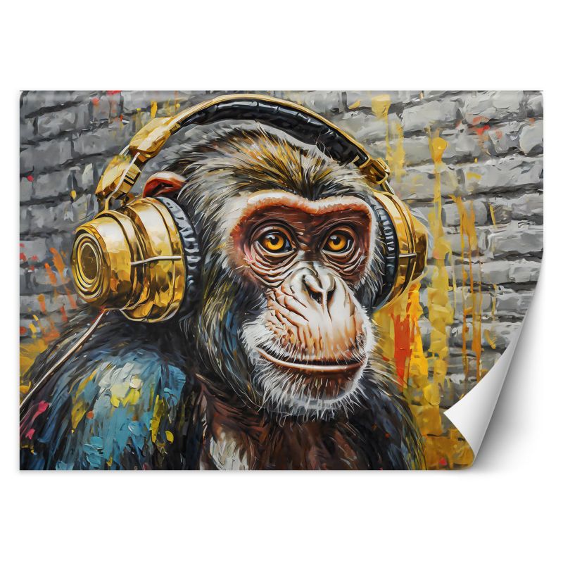 Fototapeta Feeby Małpa DJ 350x245 1 szt