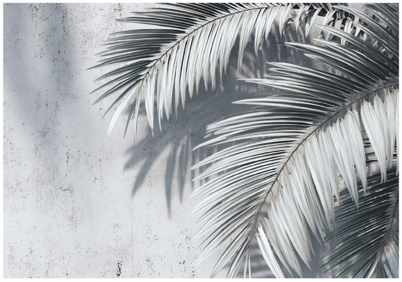 Fototapeta WALLARENA Do Sypialni Salonu Na Flizelinie Liście Abstrakcja Beton Szary 250x175 cm 16128VX5 1 szt.