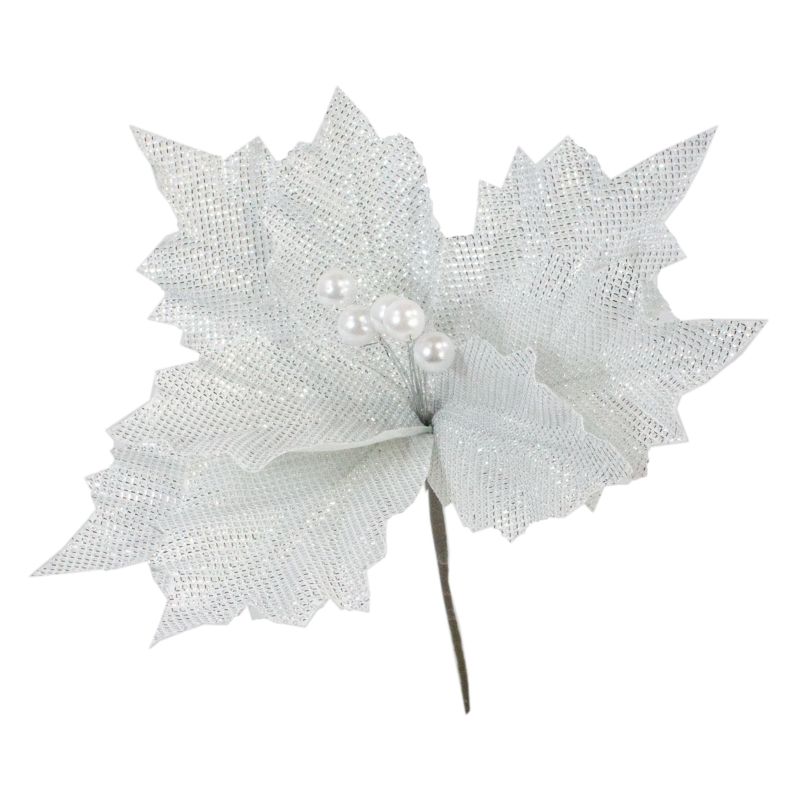 Poinsettia na piku MAG 5