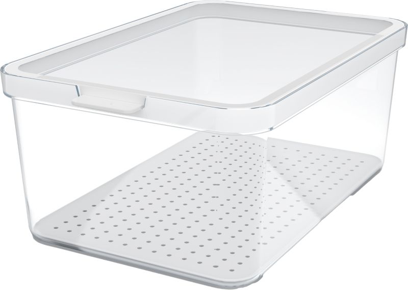 Organizer do lodówki Rotho Cauma 4,65 l