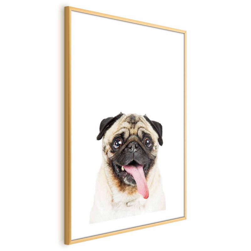 Plakat Artgeist Mops 40x60 cm z ramą złotą 1 szt