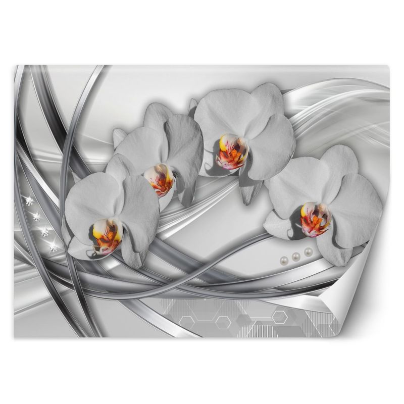 Fototapeta Feeby Abstrakcja orchidea 300x210 1 szt