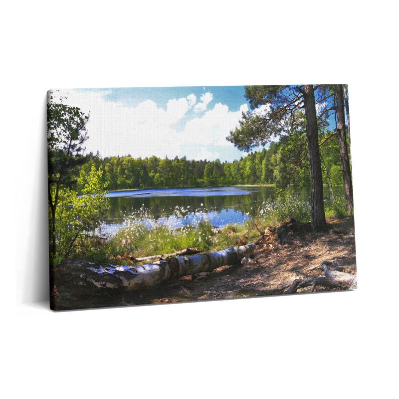 Obraz na płótnie Wallfluent 60x40 cm Widok na jezioro w lesie 1 szt.