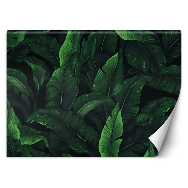 Fototapeta Feeby Egzotyczne liście w monochromatycznej zieleni 350x245 1 szt
