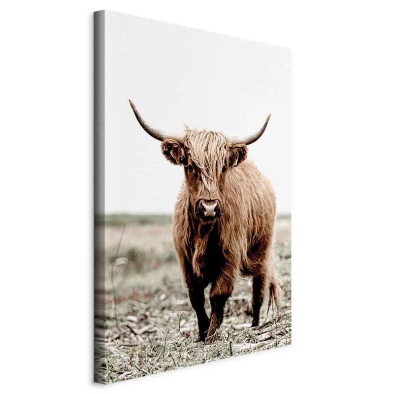 Obraz Artgeist Młody rogacz 20 x 30 cm flizelina 1 szt