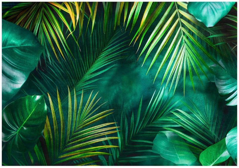 Fototapeta WALLARENA Do Sypialni Salonu Winylowa Liście Natura Dżungla Zielony 368x254 cm 15977W8 1 szt.