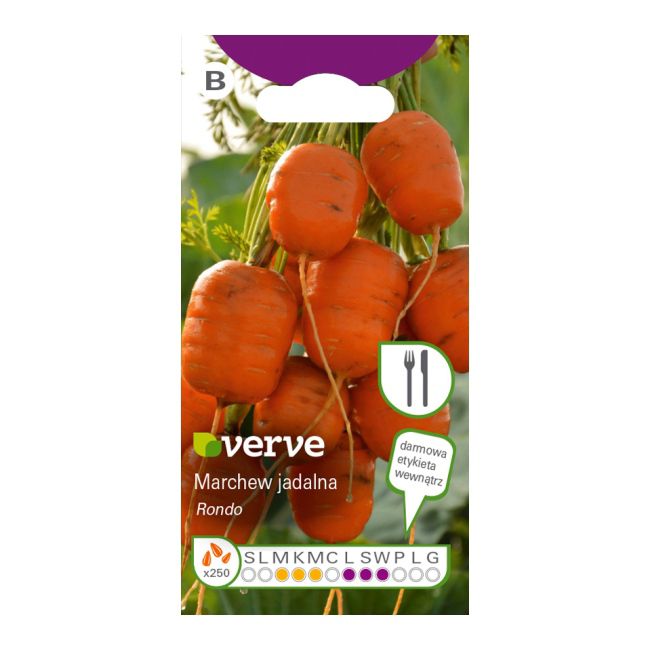 Nasiona marchew Rondo Verve