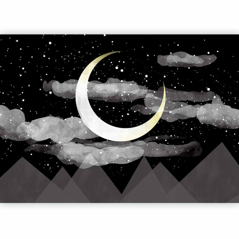 Fototapeta flizelinowa Artgeist 170 g/m2 wodoodporna Pejzaże czarna 350x245 (7 części) 10014aa rolka 1 szt