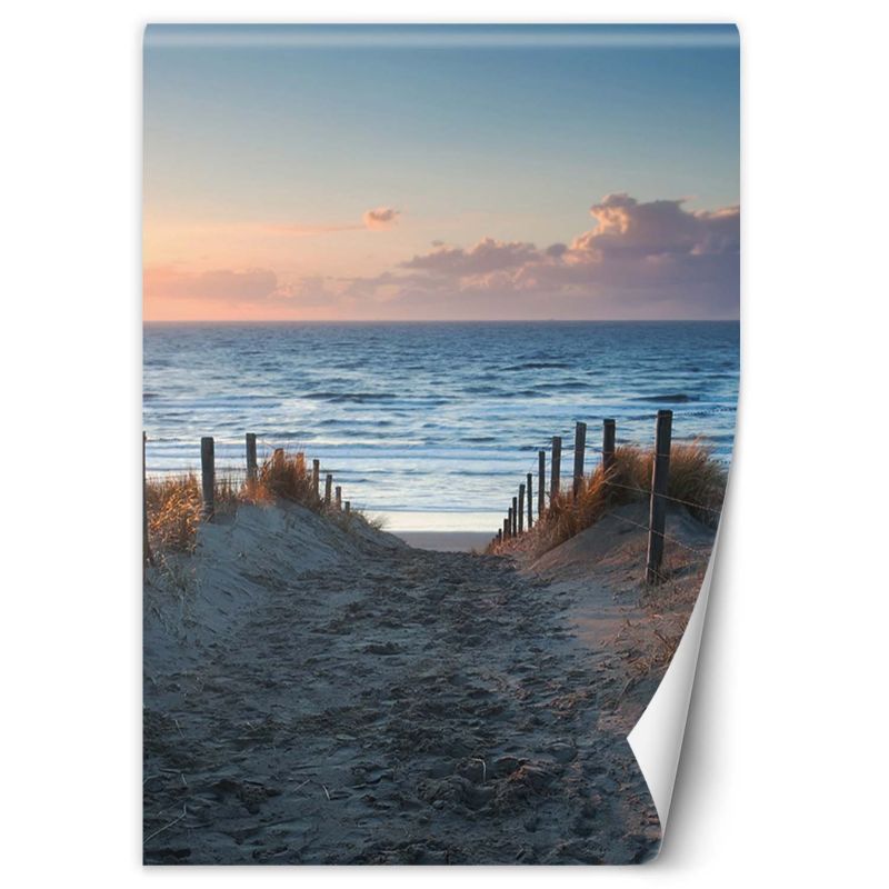 Fototapeta Feeby Zejście na plaże 100x140 1 szt