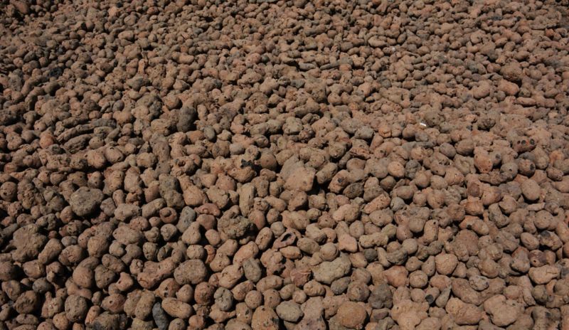 Keramzyt ogrodniczy Blooma 5 l