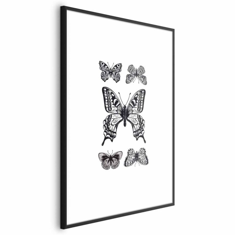 Plakat Artgeist Pięć motyli 40x60 cm z ramą czarną 1 szt