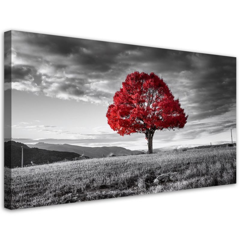 Obraz na płótnie Feeby Czerwone Drzewo na Łące Pejzaż 120x60cm 1szt