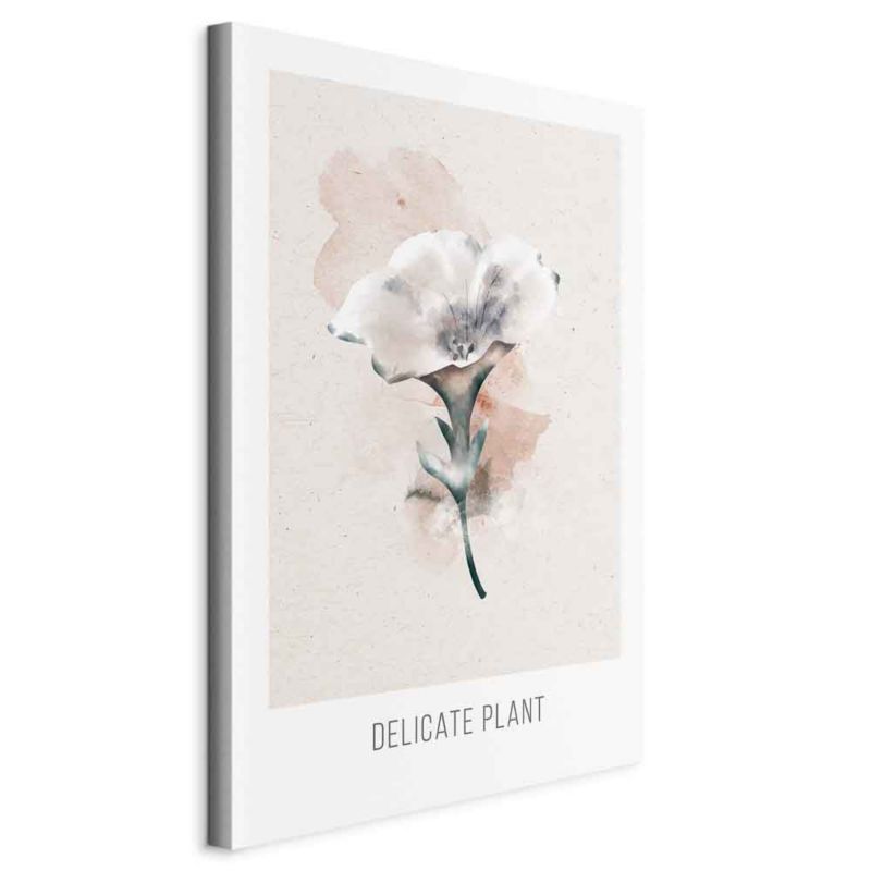 Obraz Artgeist Delikatna roślina 20 x 30 cm flizelina 1 szt