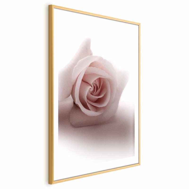 Plakat Artgeist Różany cień 60x90 cm z ramą złotą 1 szt