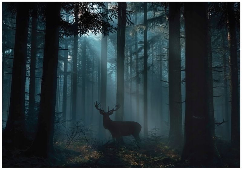 Fototapeta WALLARENA Do Sypialni Salonu Na Flizelinie Las Jeleń Drzewa 400x280 cm 1 szt.