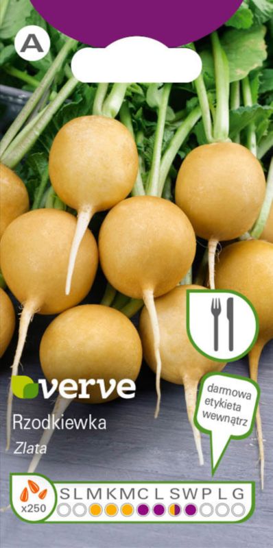 Nasiona rzodkiewka Zlata Verve