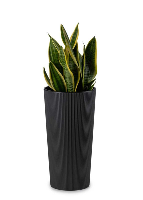 Donica HowHomely Tworzywo ECO Czarna 19x36cm