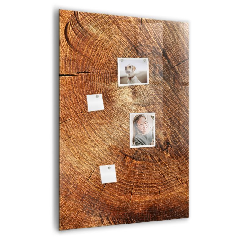 Szklana tablica magnetyczna Wallfluent 70x100 cm Przekrój pnia Biały marker 1 szt.