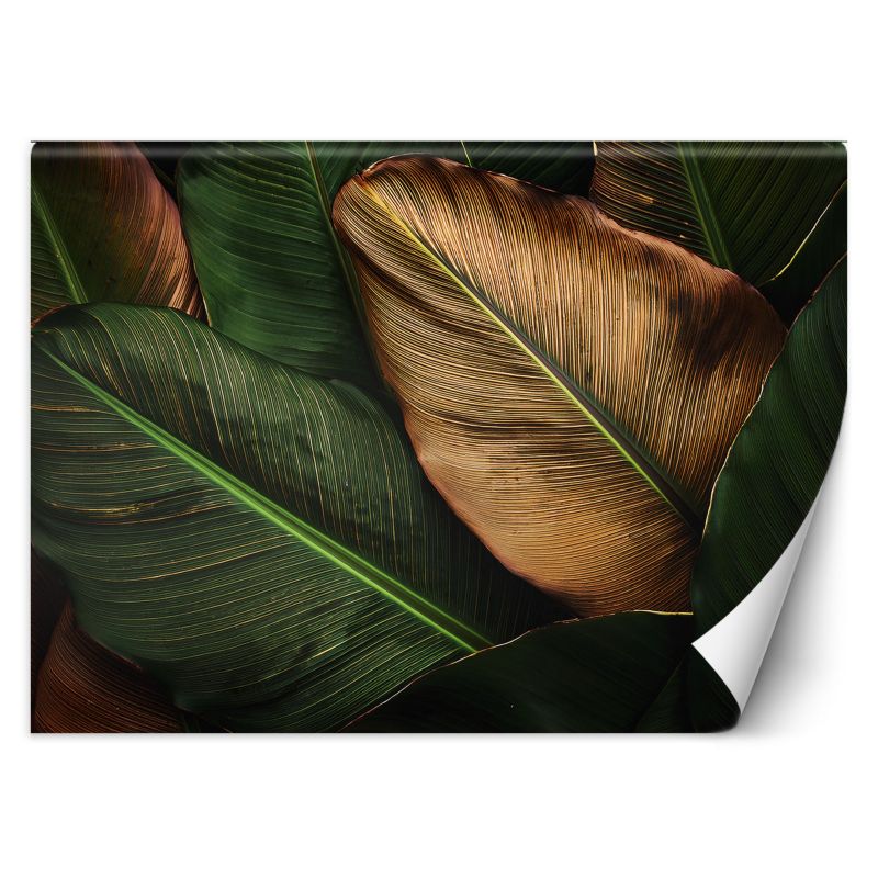 Fototapeta Feeby Złote I Zielone Liście 350x245 1 szt