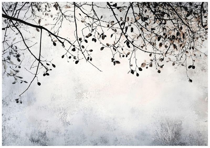 Fototapeta Na Flizelinie WALLARENA 300x210 cm Tapeta Do Sypialni Salonu Gałązki 1 szt.