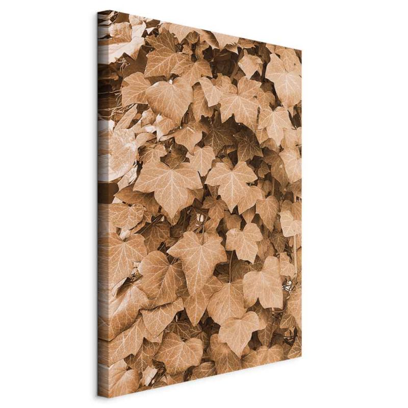 Obraz Artgeist Jesienny bluszcz 80 x 120 cm płótno włoskie 1 szt