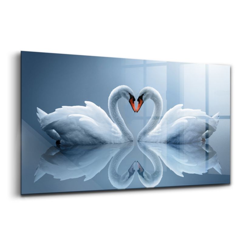 Foto Obraz Ścienny Szklany Wallfluent 120x60 cm Łabędzie ułożone w znak miłości 1 szt.