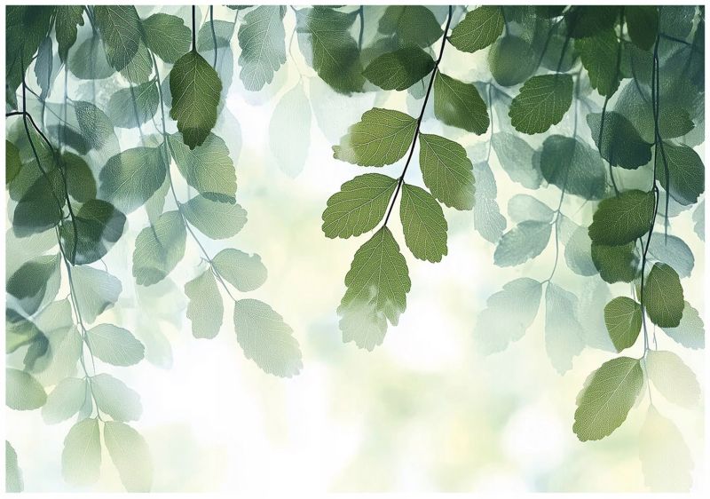 Tapeta Do Salonu Liście Zielone WALLARENA 300x210 cm Fototapeta Dekoracja Ścienna 1 szt.